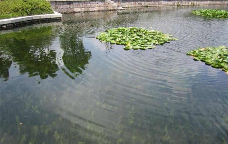 淤泥清理设备租赁，把百万级清淤工程砍成轻装上阵